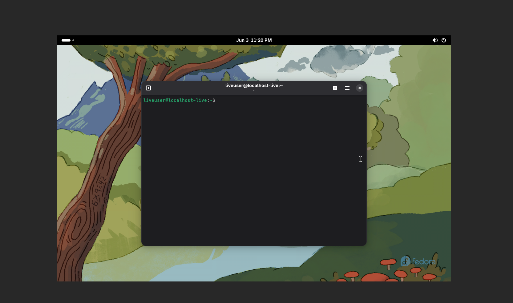 virtual machine VNC
