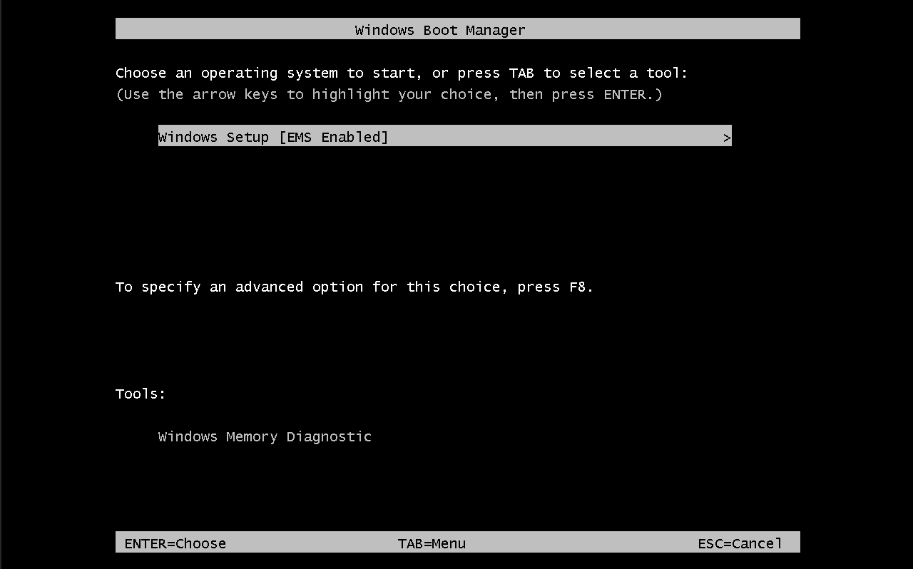 choose operating system boot step screen capture