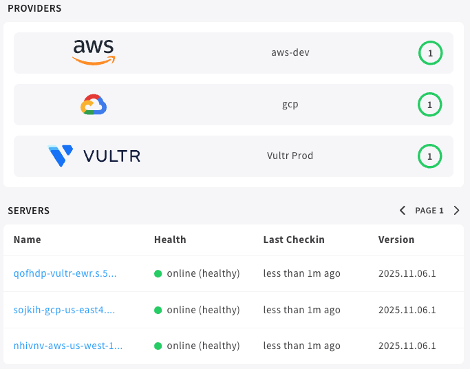 A cluster dashboard zoomed in on providers and servers