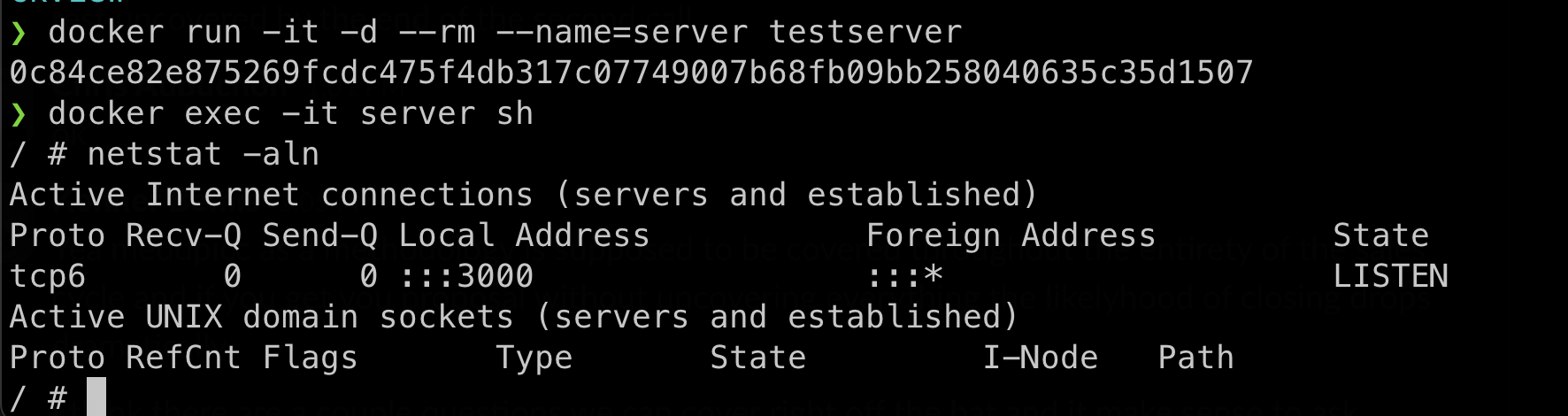 output from running netstat showing bind all IPs.