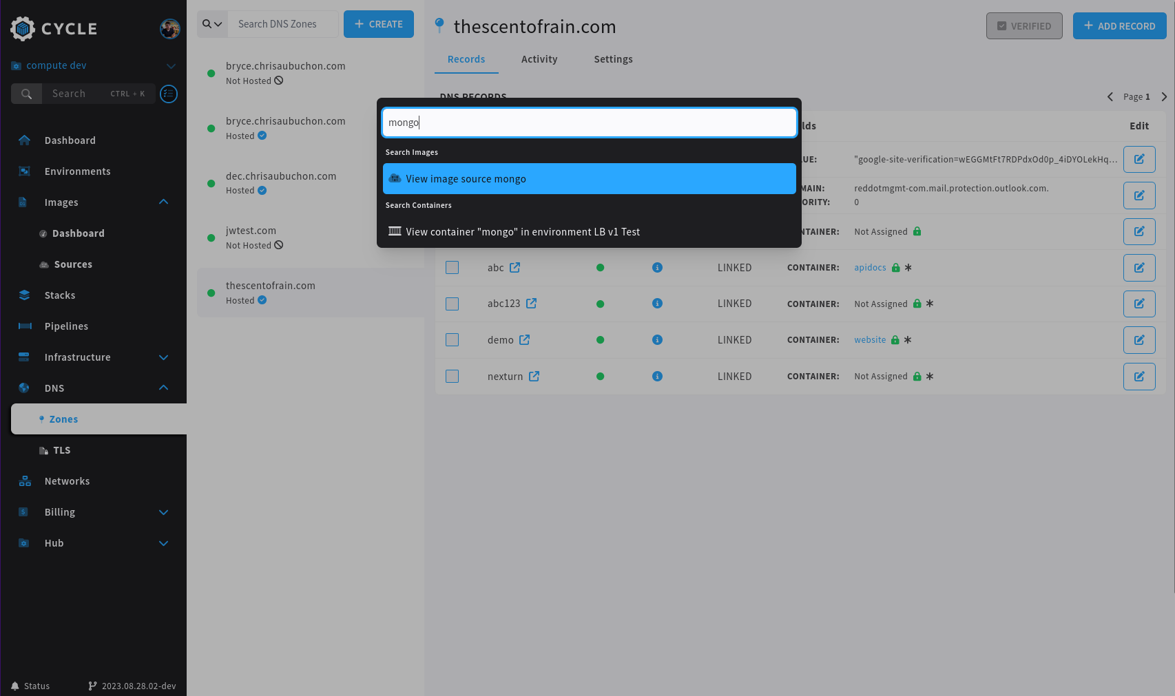 New Portal - Opening a container while looking at DNS records