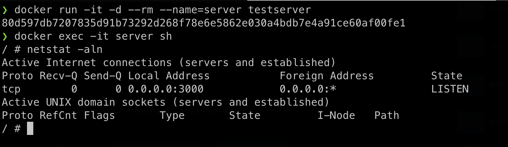 output from running netstat.